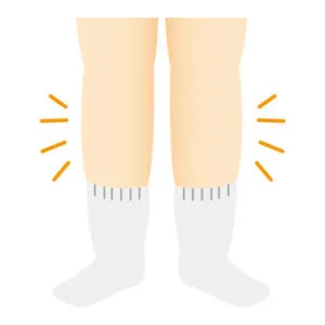 ふくらはぎのイラスト