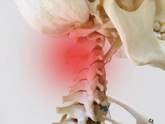 首の骨