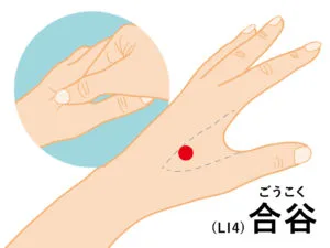 合谷のツボ