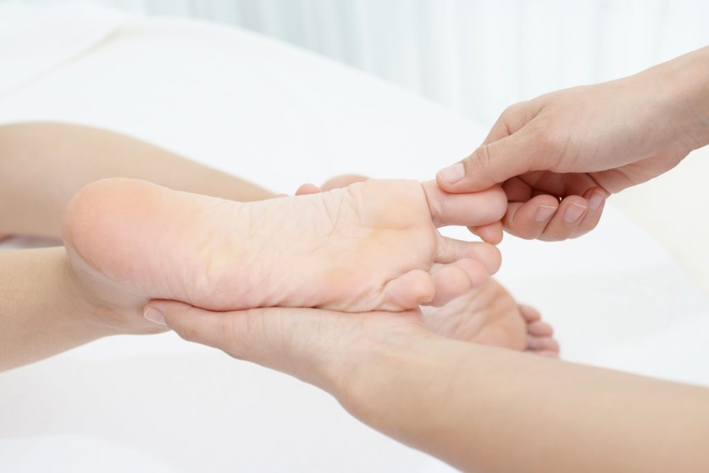 整体を利用している様子